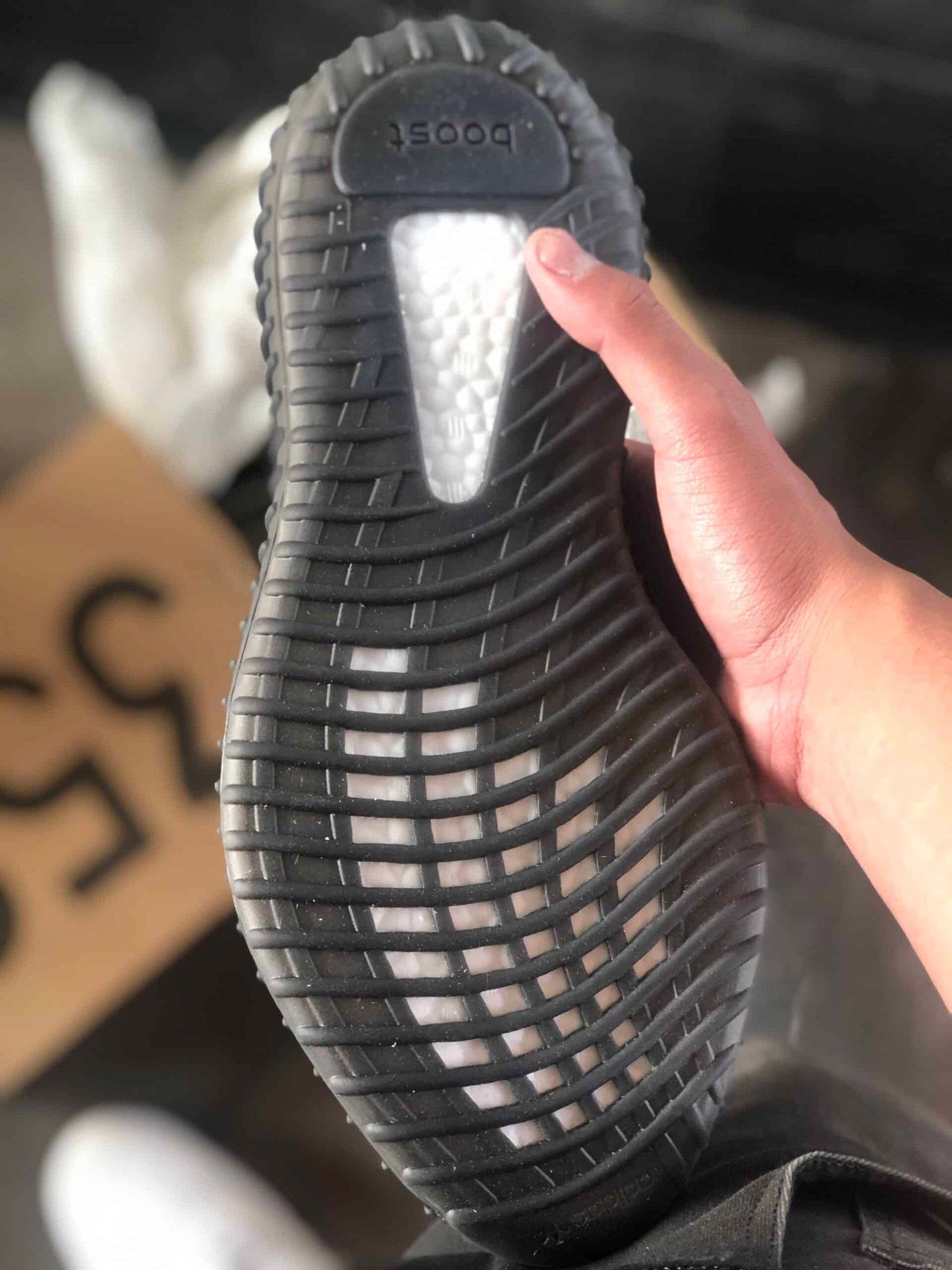 Yeezy 350