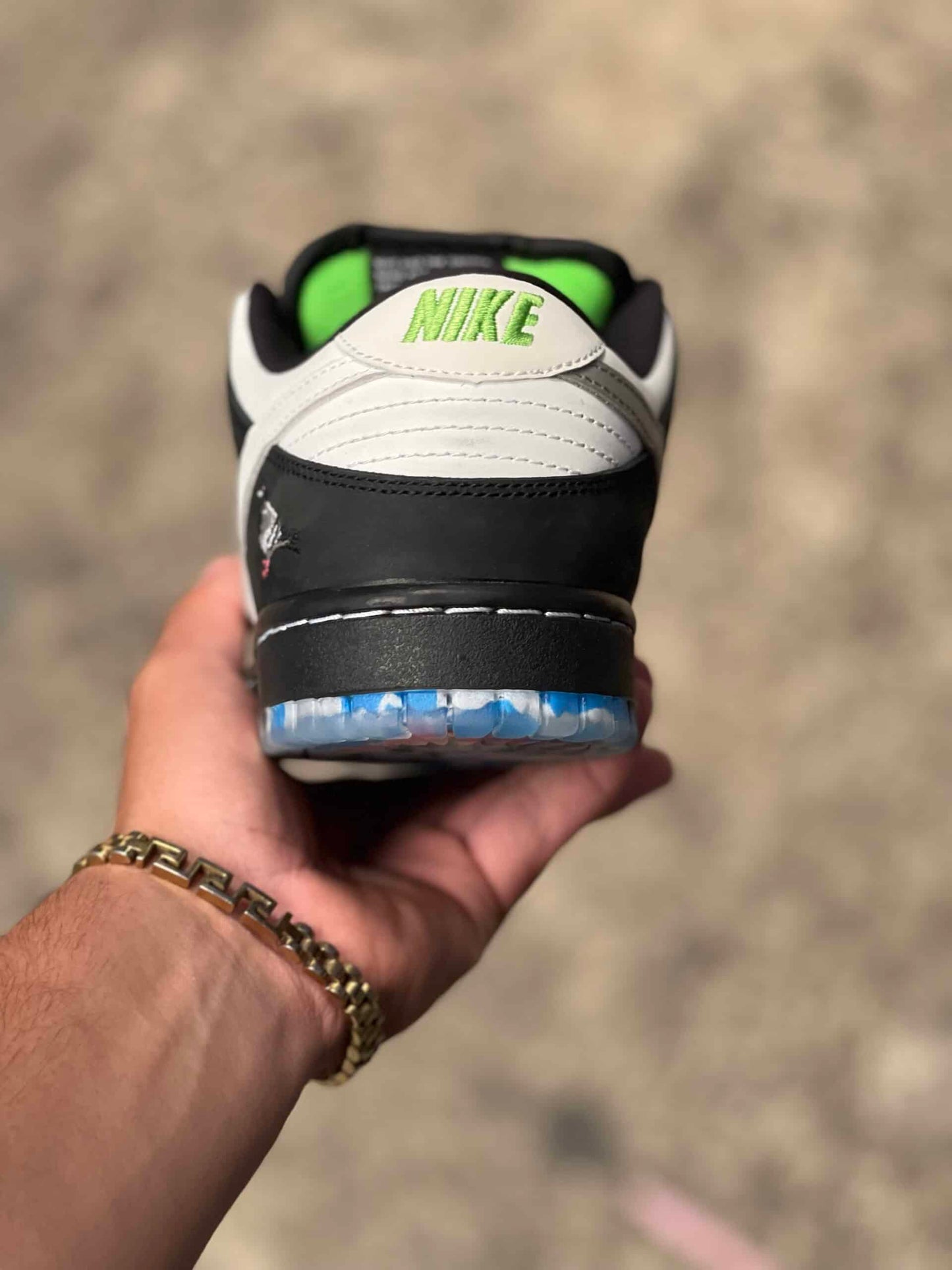 Dunk Pigeon
