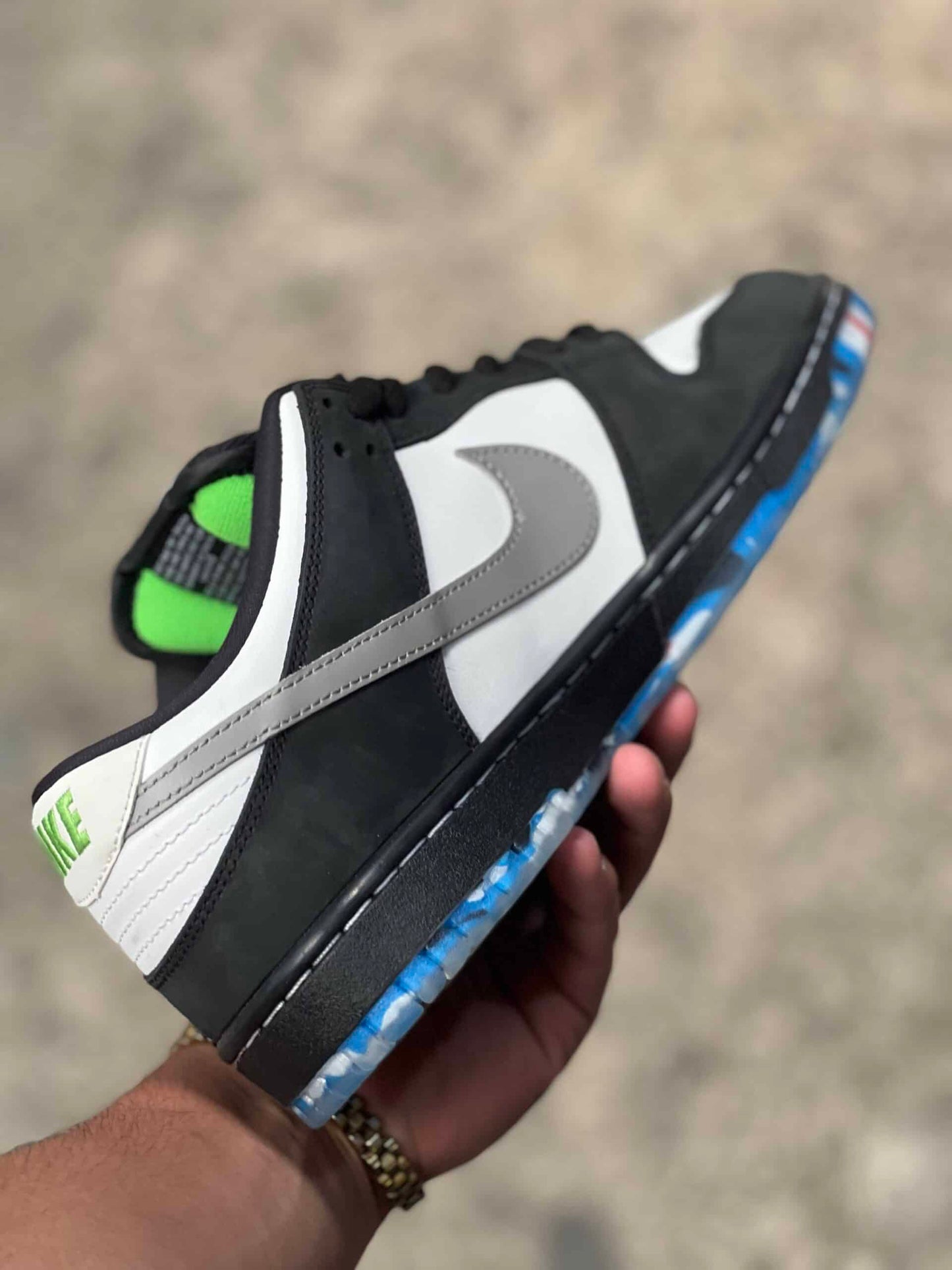 Dunk Pigeon