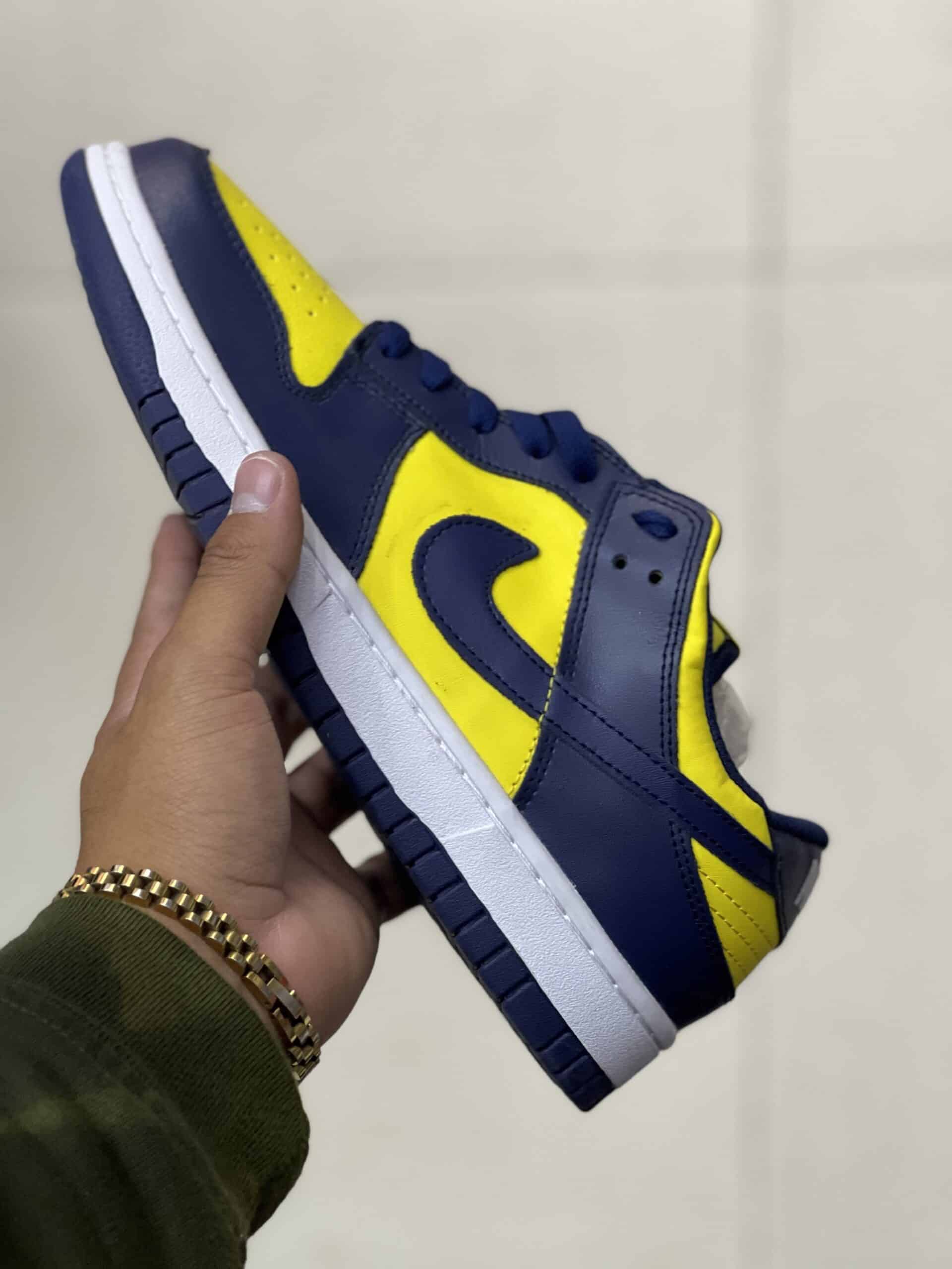 Dunk sb low Michigan