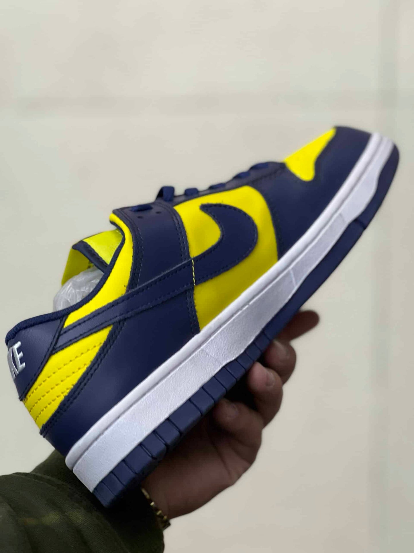 Dunk sb low Michigan