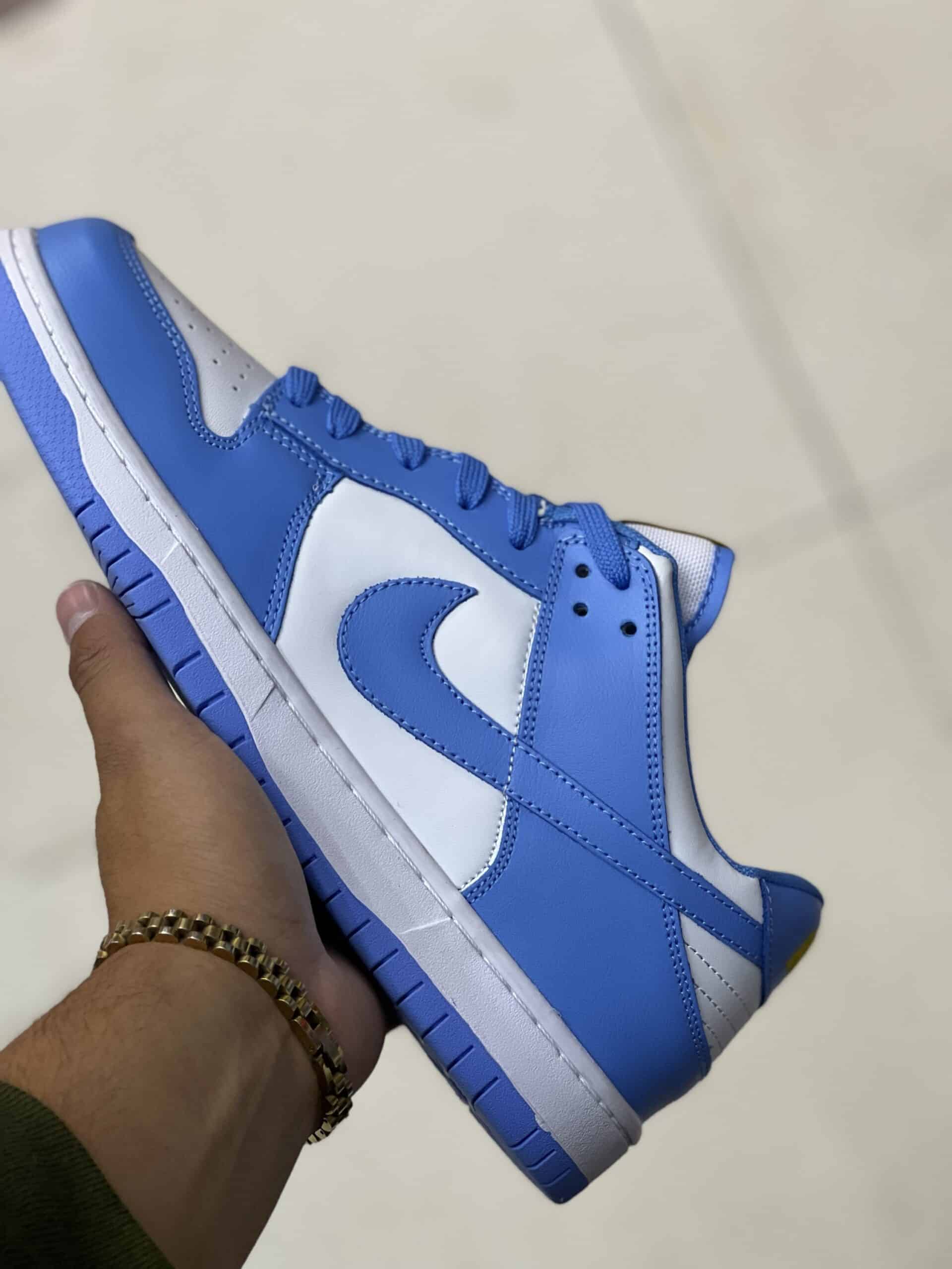 Nike Dunk Sb Low UNC