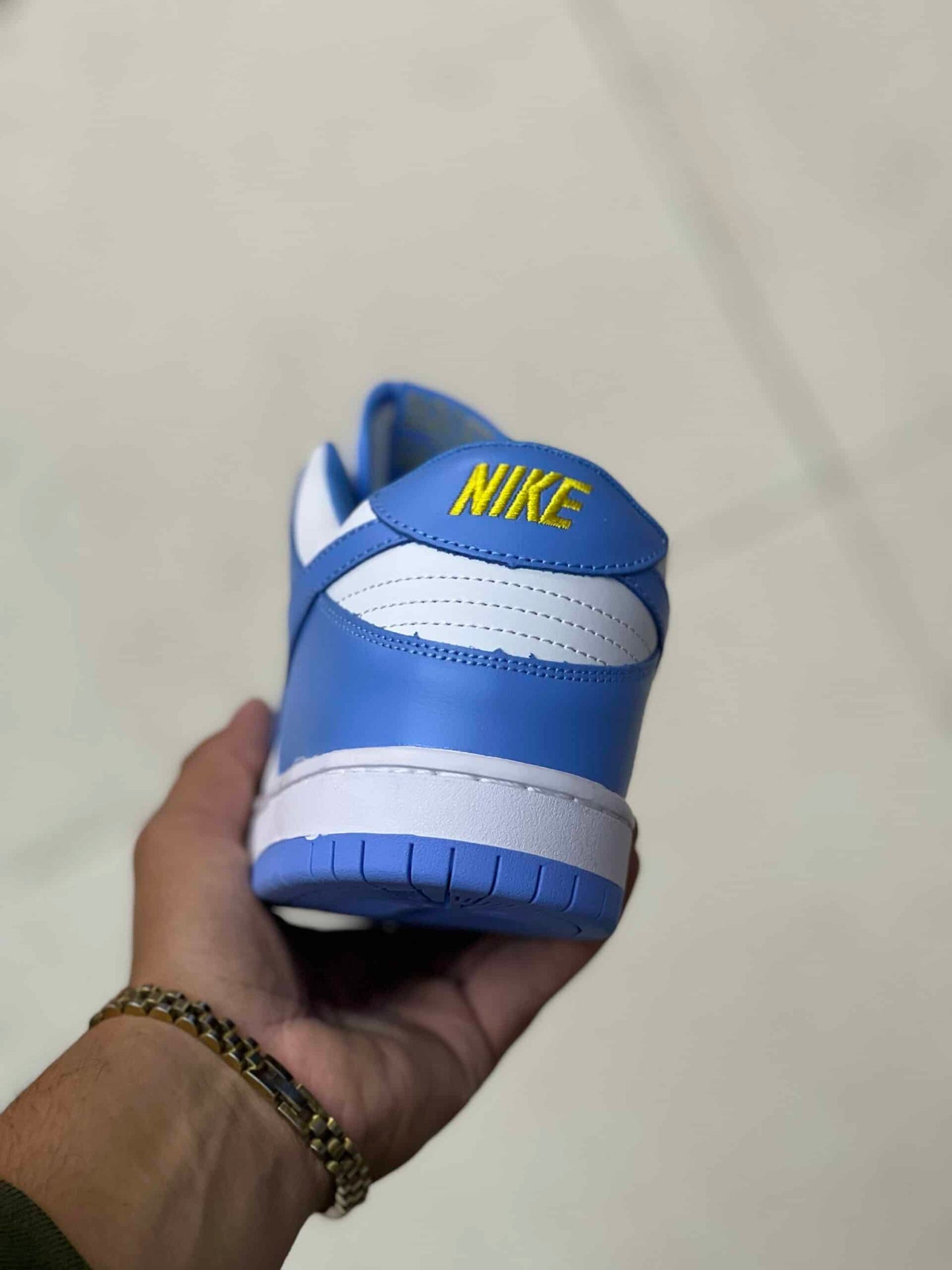 Nike Dunk Sb Low UNC