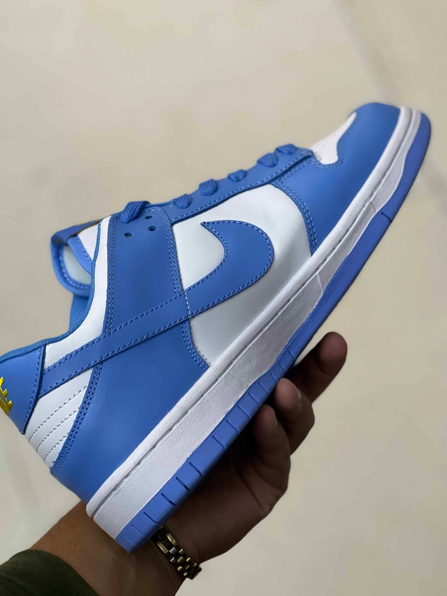 Nike Dunk Sb Low UNC
