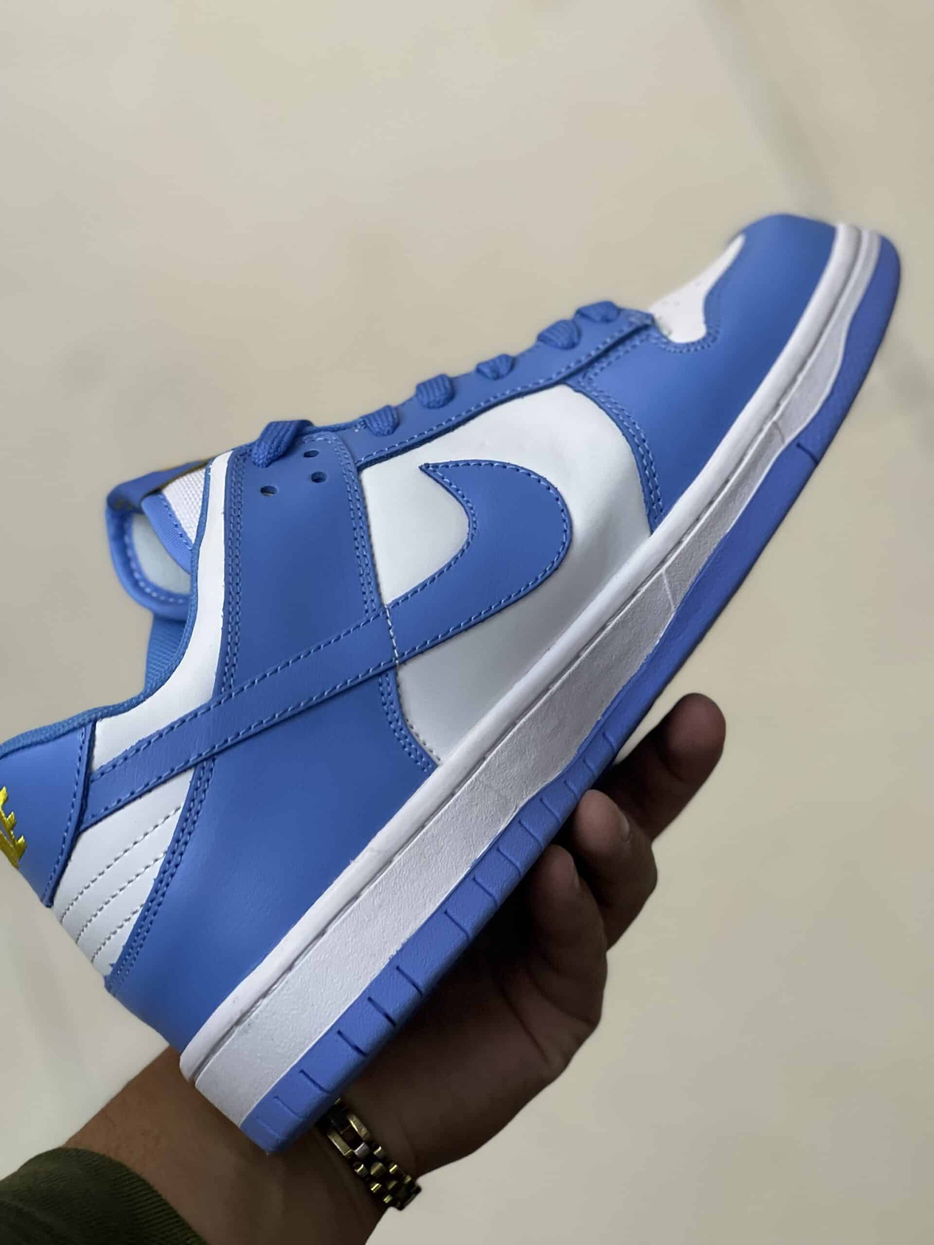 Nike Dunk Sb Low UNC