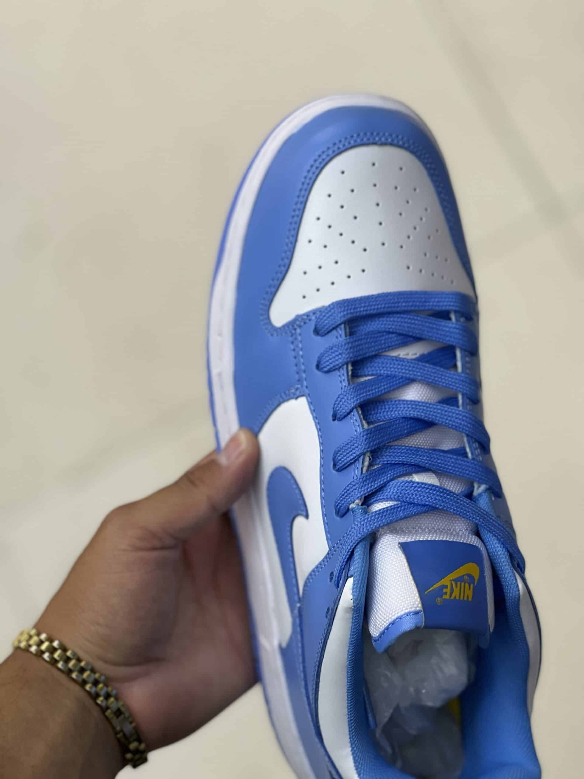 Nike Dunk Sb Low UNC