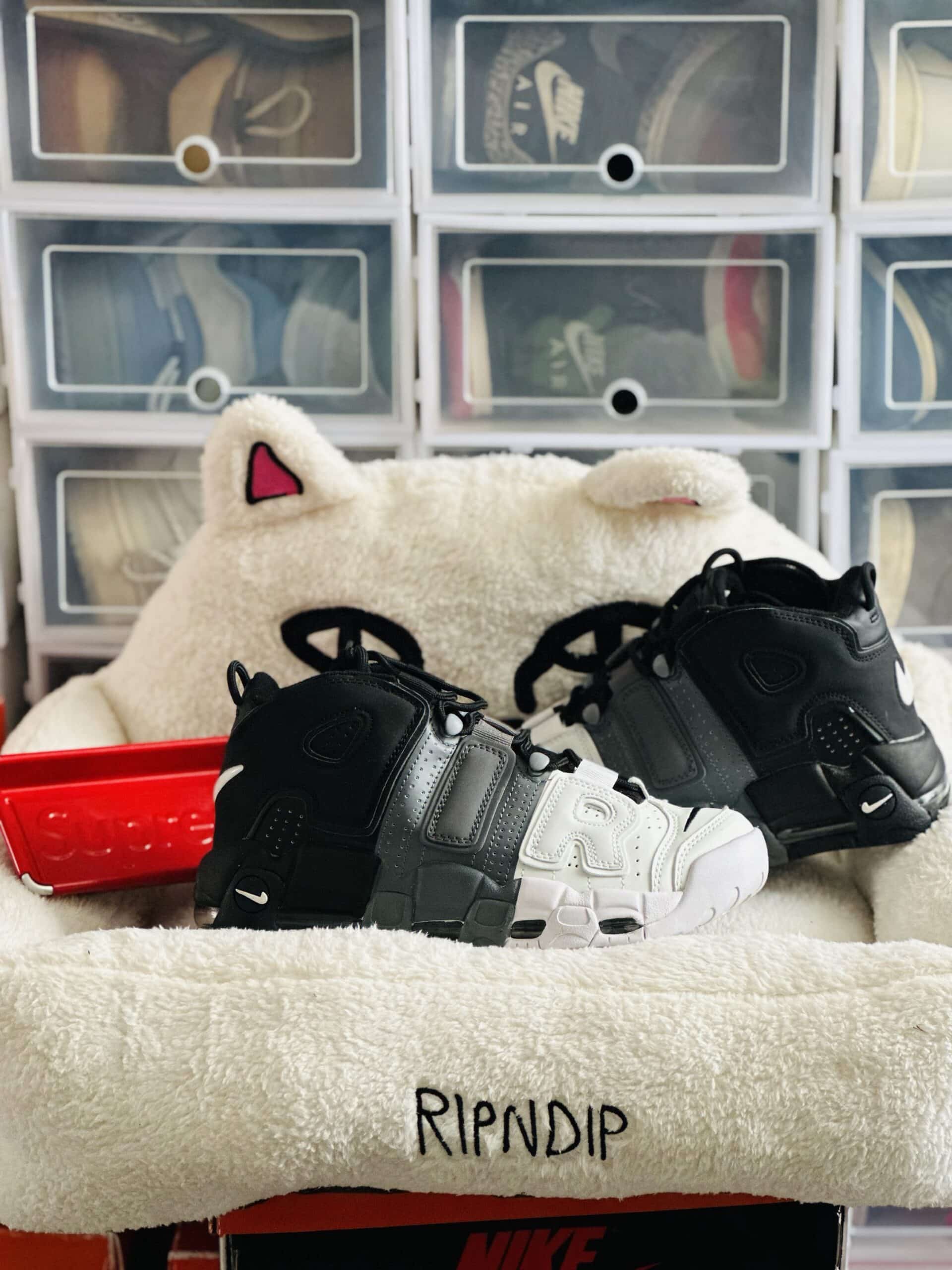 Uptempo Tricolor