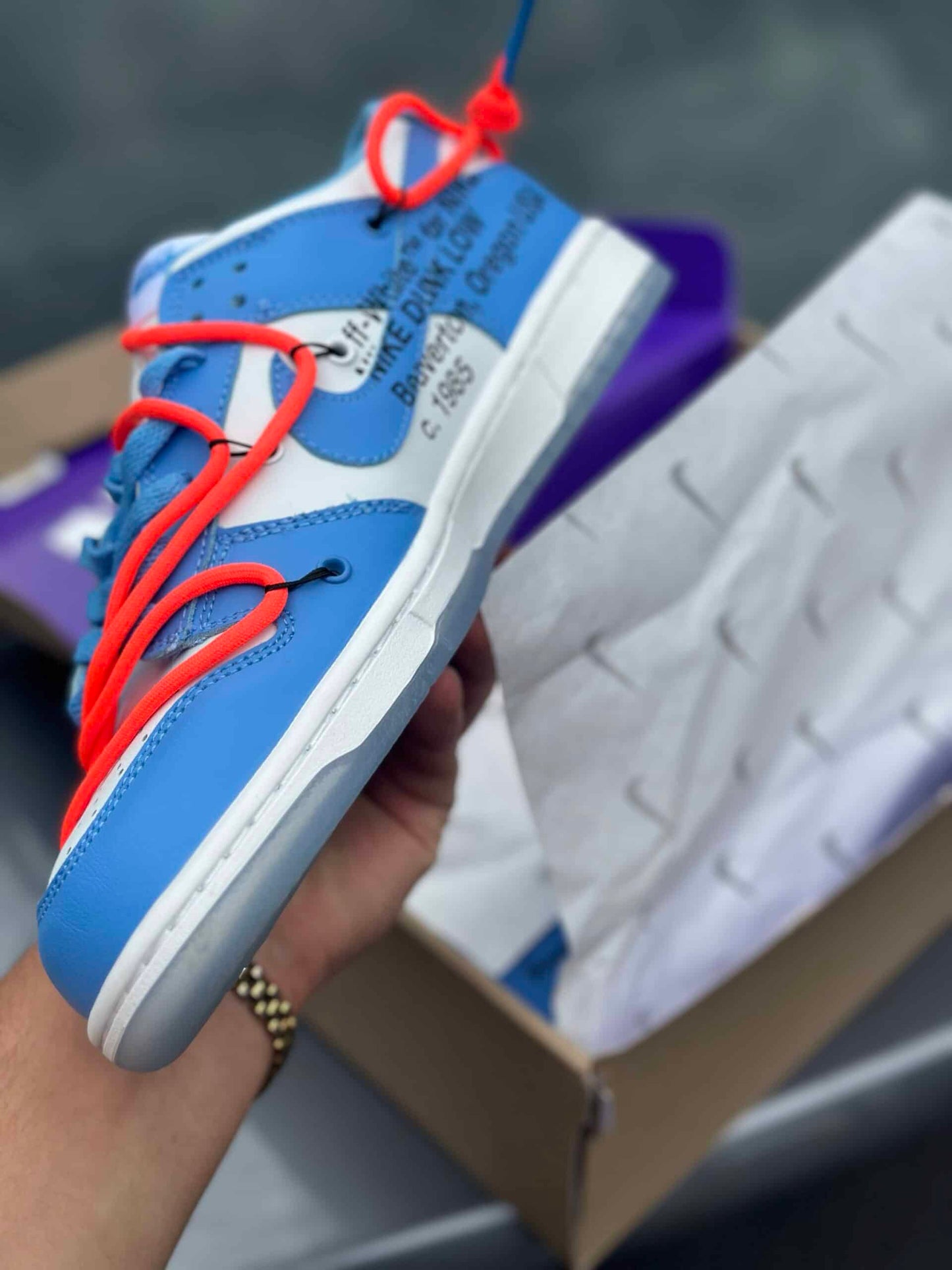 Dunk Off White FL